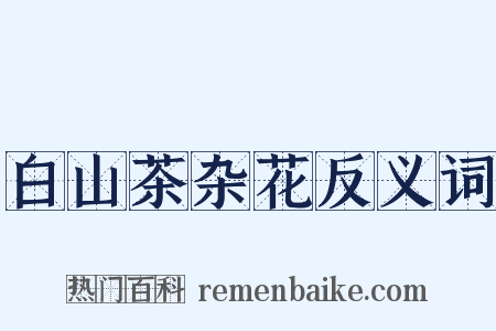 白山茶杂花反义词是什么意思的图片